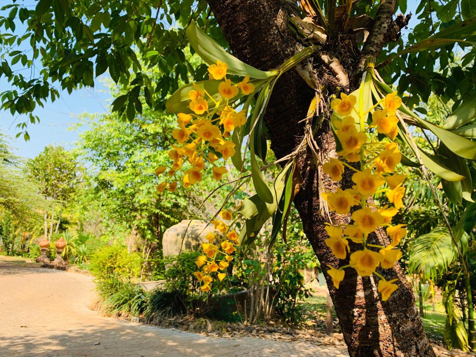 Kanlaya'S Eyrie, Luxury Homestay Pang Mapha المظهر الخارجي الصورة